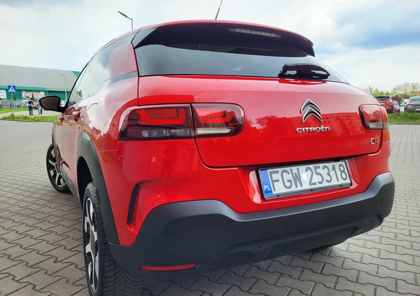 Citroen C4 Cactus cena 41900 przebieg: 200000, rok produkcji 2019 z Gliwice małe 254